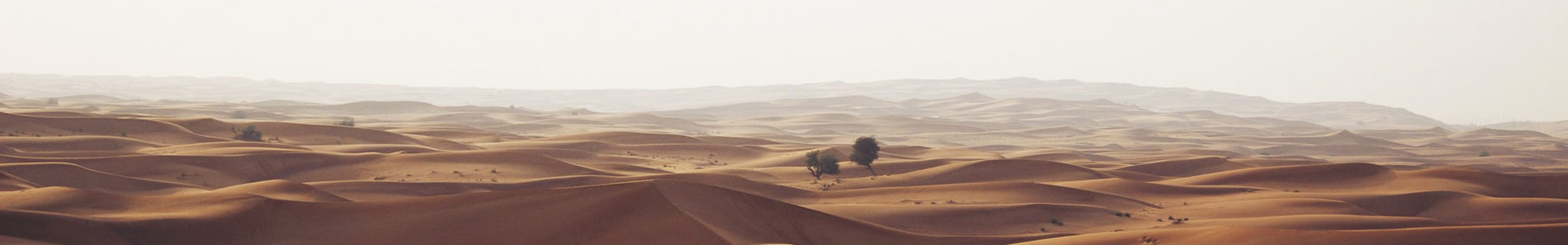 ϺϴϢƼ޹˾
